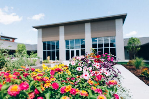 A vibrant display of flowers in front of a modern building under a clear blue sky.
