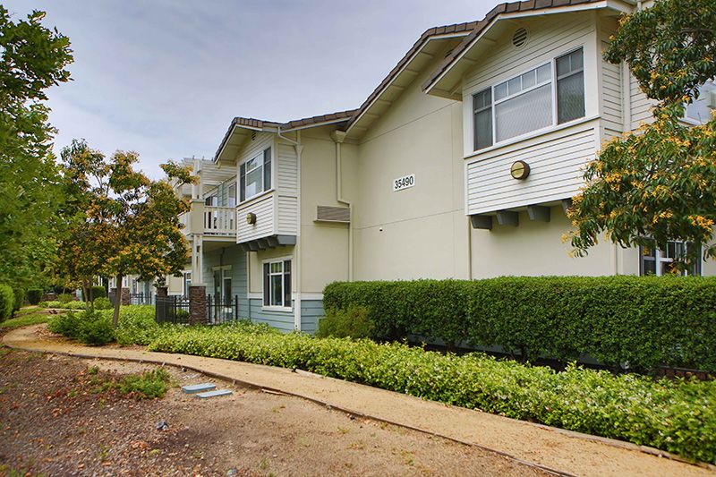 A view of a residential apartment building with landscaped surroundings and a pathway.
