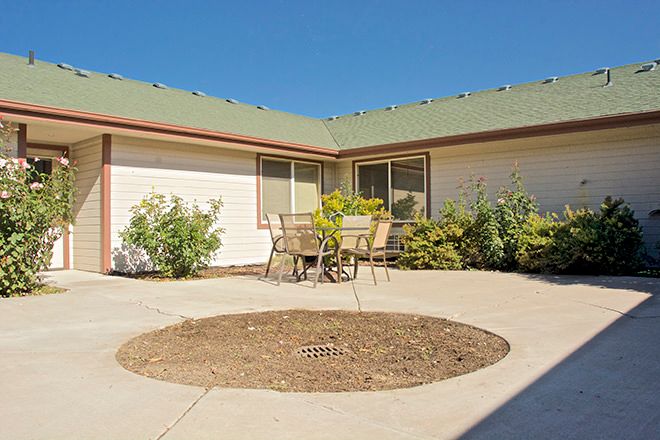 A sunny courtyard with a patio set surrounded by plants.
