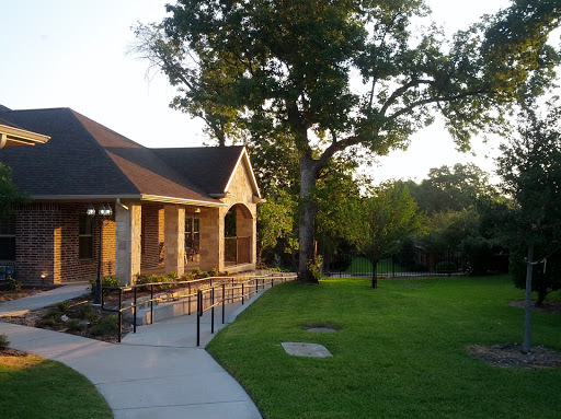A charming house surrounded by lush greenery and a majestic tree during sunset.