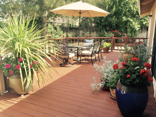 A sunny outdoor deck adorned with plants and a cozy seating area, perfect for relaxation.