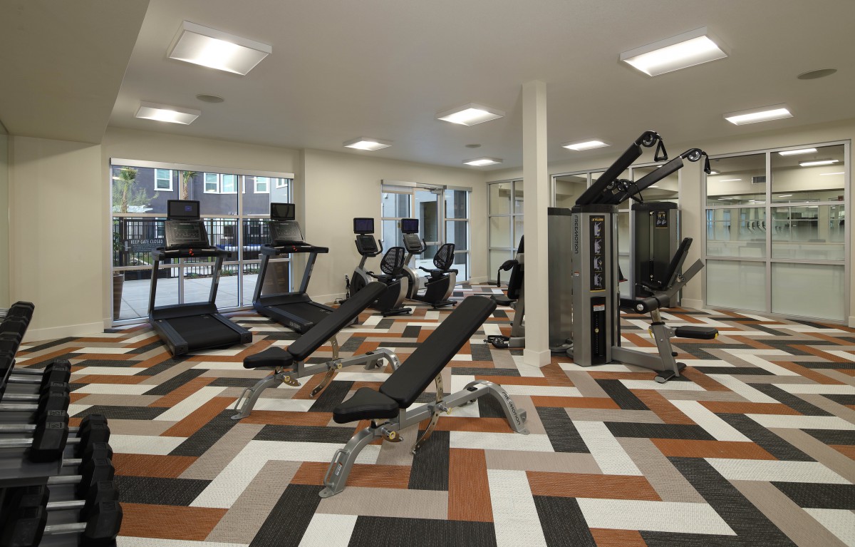 A modern gym featuring treadmills and weight benches with colorful flooring.