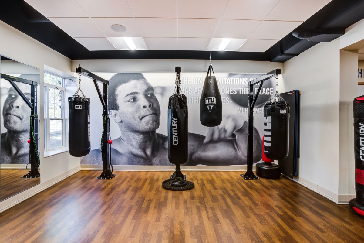 A boxing gym featuring a mural and multiple punching bags, set on a wooden floor.