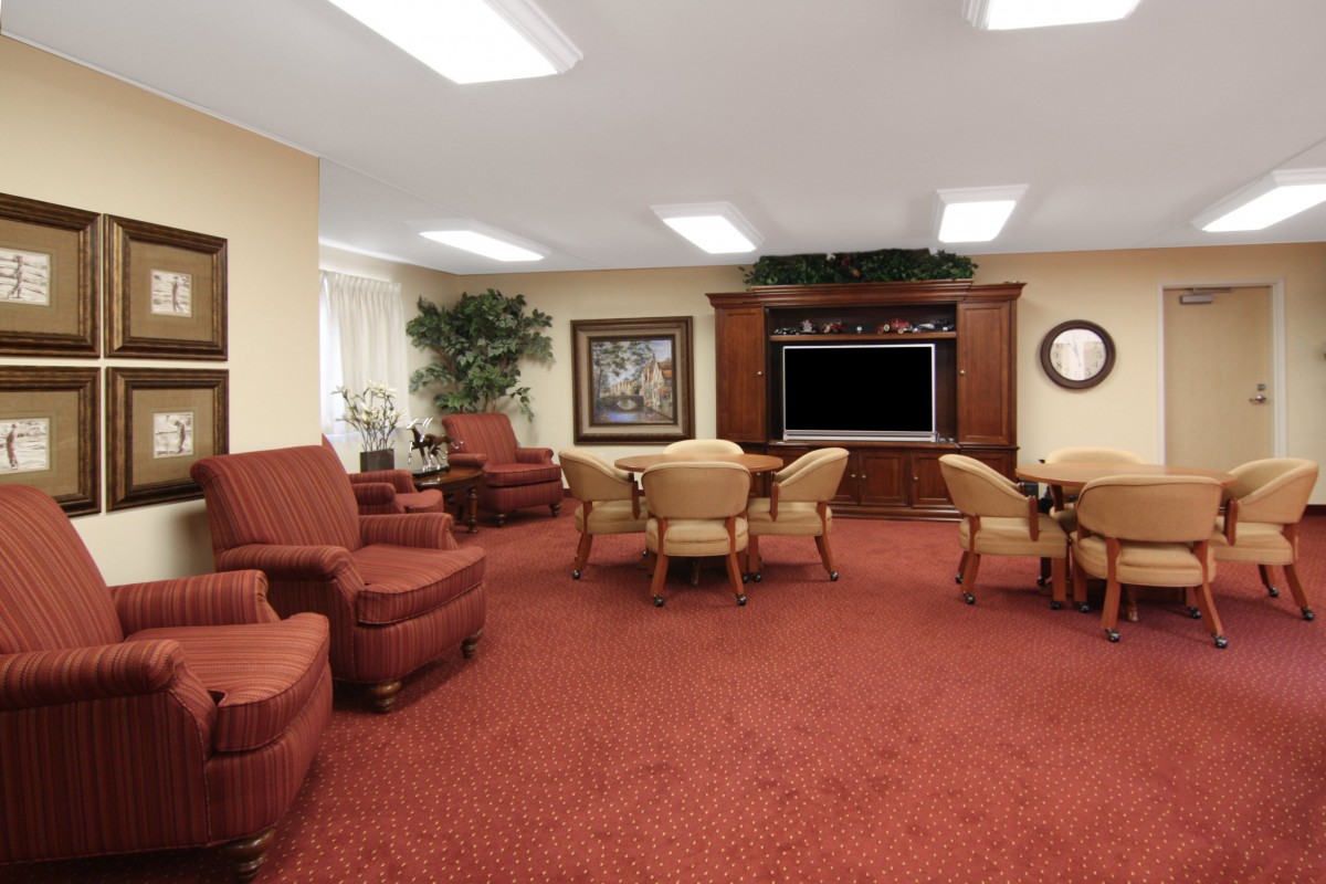 A spacious living room with red carpeting, featuring comfortable armchairs, tables, a TV stand, and decorative indoor plants.