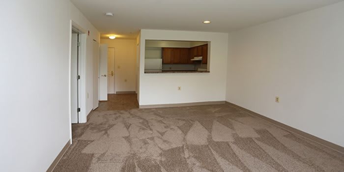 An empty living room with carpeted flooring and a kitchen view.