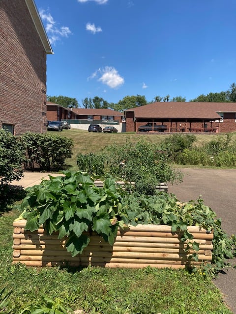 A sunny day in a garden with a raised bed filled with various plants and vegetables.