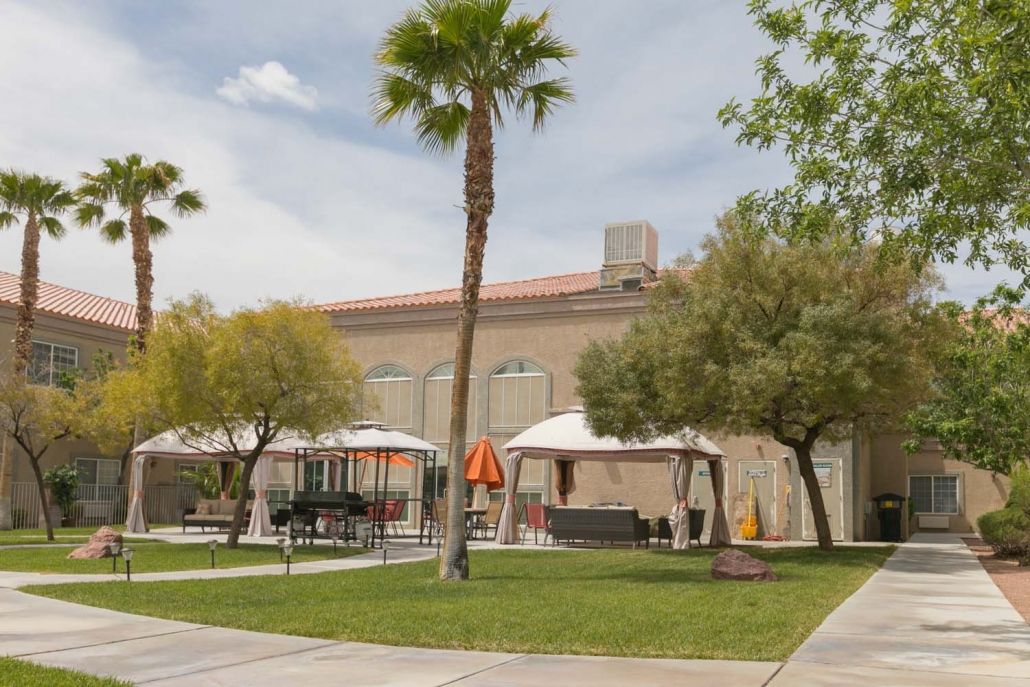 Outdoor area with a building, palm tree, canopies, and benches.