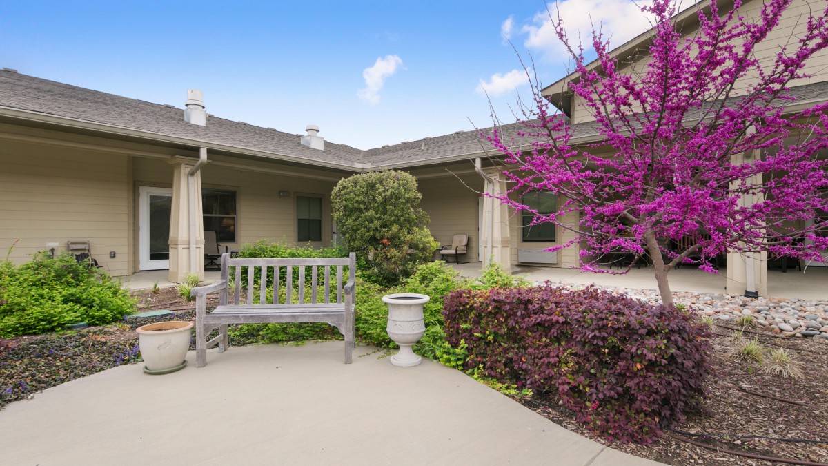 A tranquil courtyard with a wooden bench and blooming flowers.