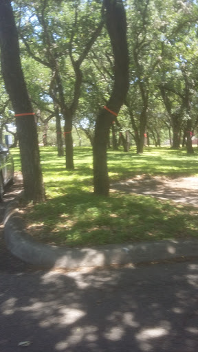 A serene park scene featuring a pathway surrounded by lush trees.
