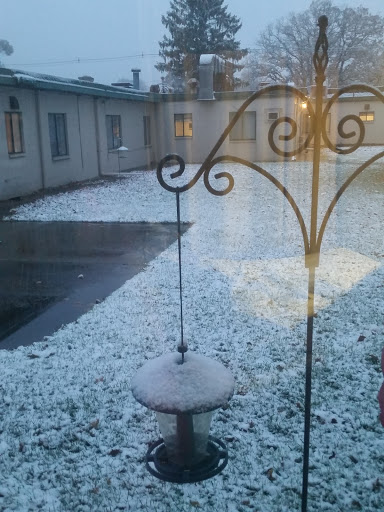 A quiet winter scene with snow lightly covering the ground and a bird feeder standing still.