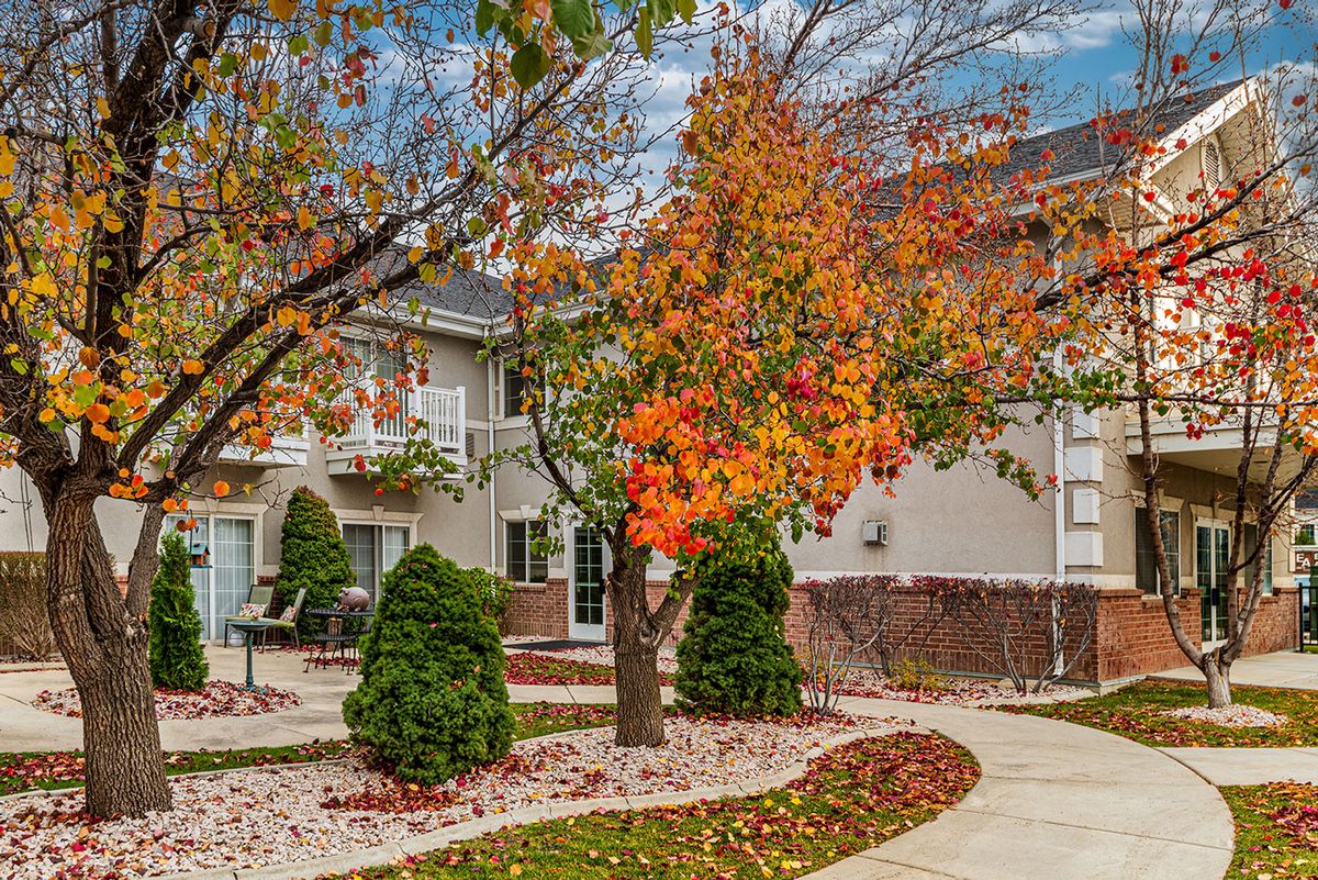 A scenic view of a building surrounded by vibrant autumn foliage.