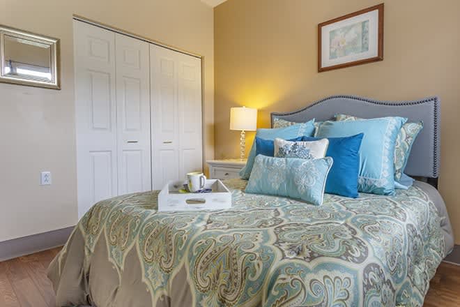 A cozy bedroom with elegant bedding and soft lighting.