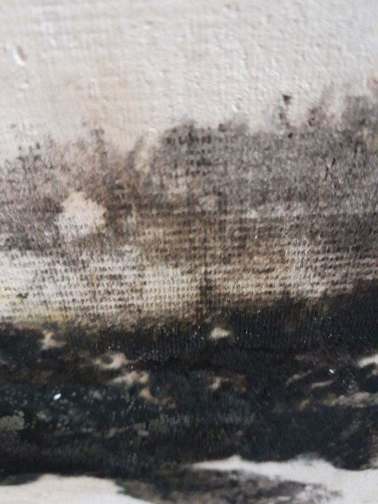 Close-up of mold and water damage on fabric surface.