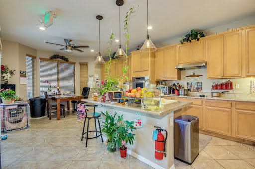 A modern kitchen featuring wooden cabinetry, a spacious island with plants, and warm lighting.