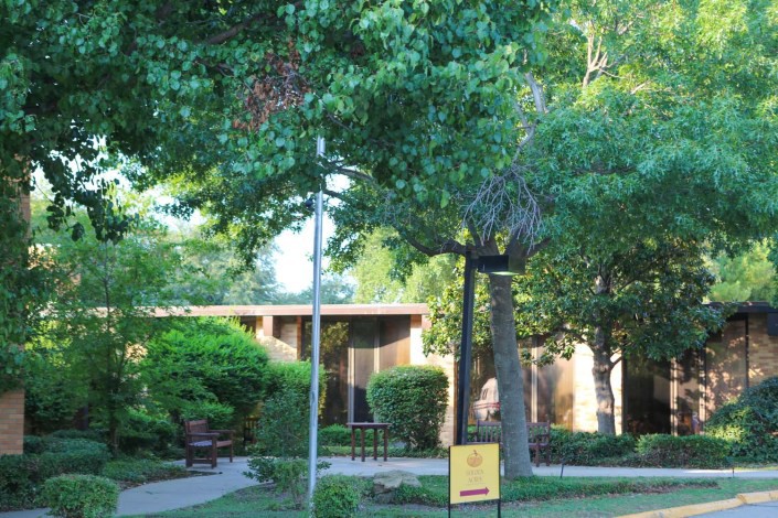 A tranquil outdoor setting with lush greenery, trees, a bench, and a building in the background.