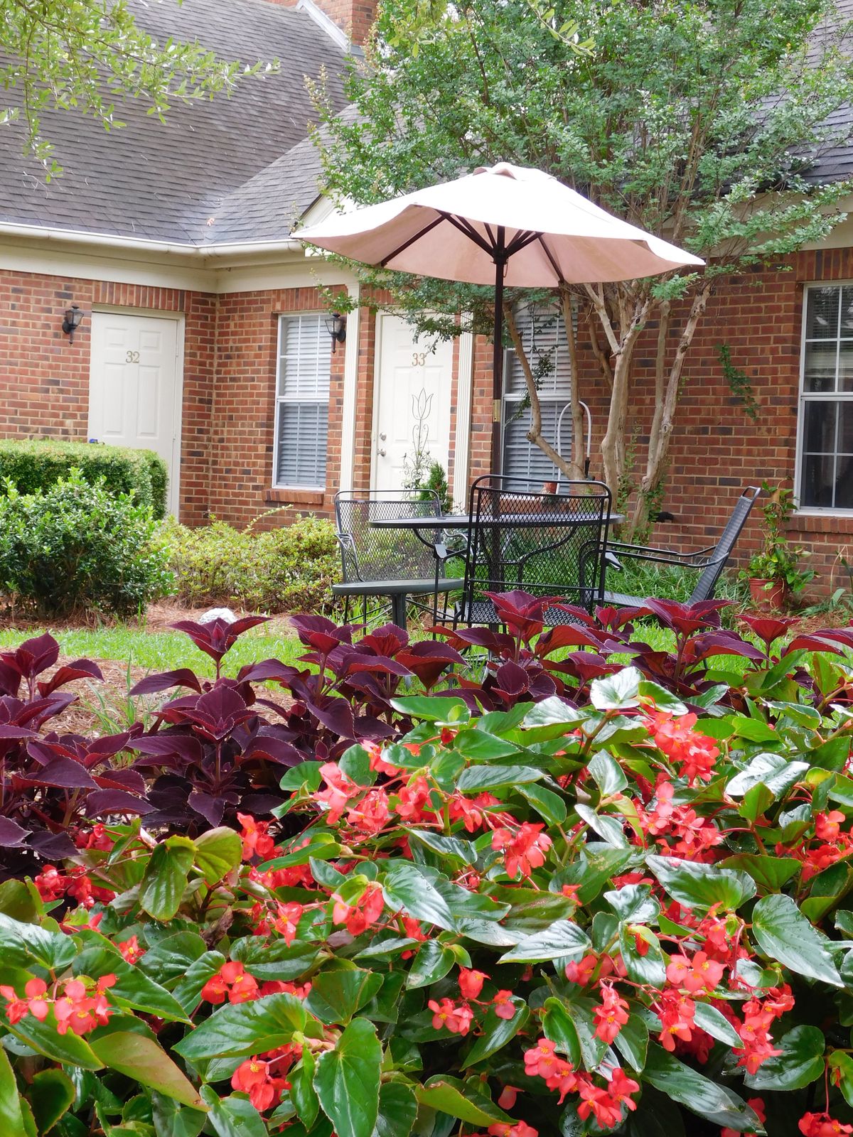 A cozy garden patio with vibrant flowers and a shaded seating area.