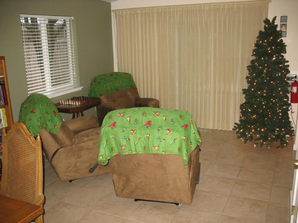 A cozy living room with green-covered chairs and a Christmas tree by the window.