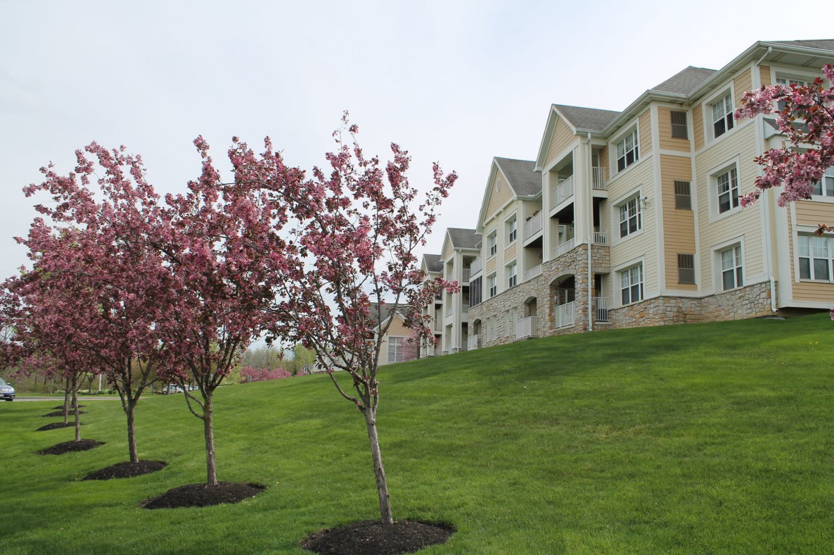 Apartment buildings with blossoming trees on a grassy slope.