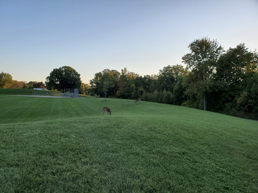 A serene evening view of a grassy park with trees lining the horizon.