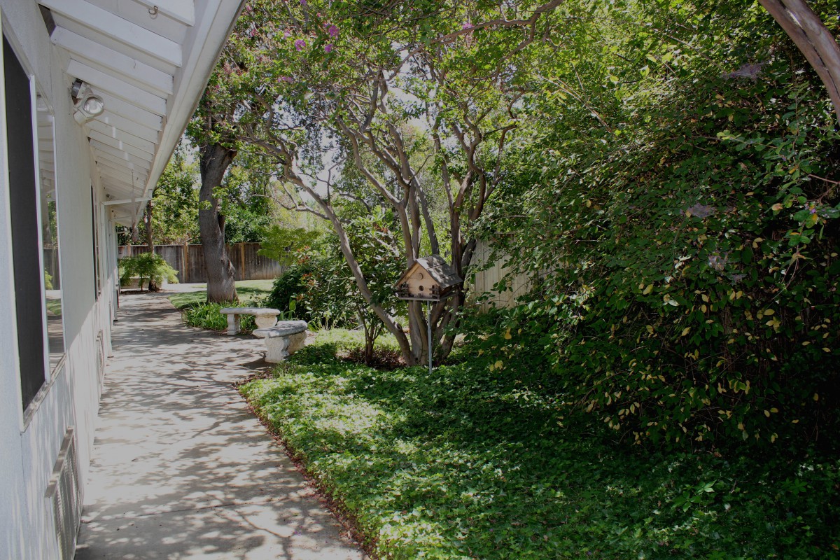 A tranquil garden with a stone pathway winding through lush greenery and trees.