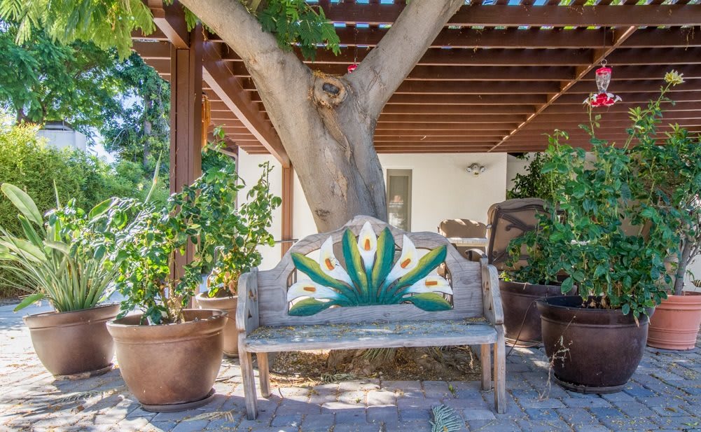 A rustic bench with colorful artwork sits under a pergola, surrounded by potted plants and a large tree.