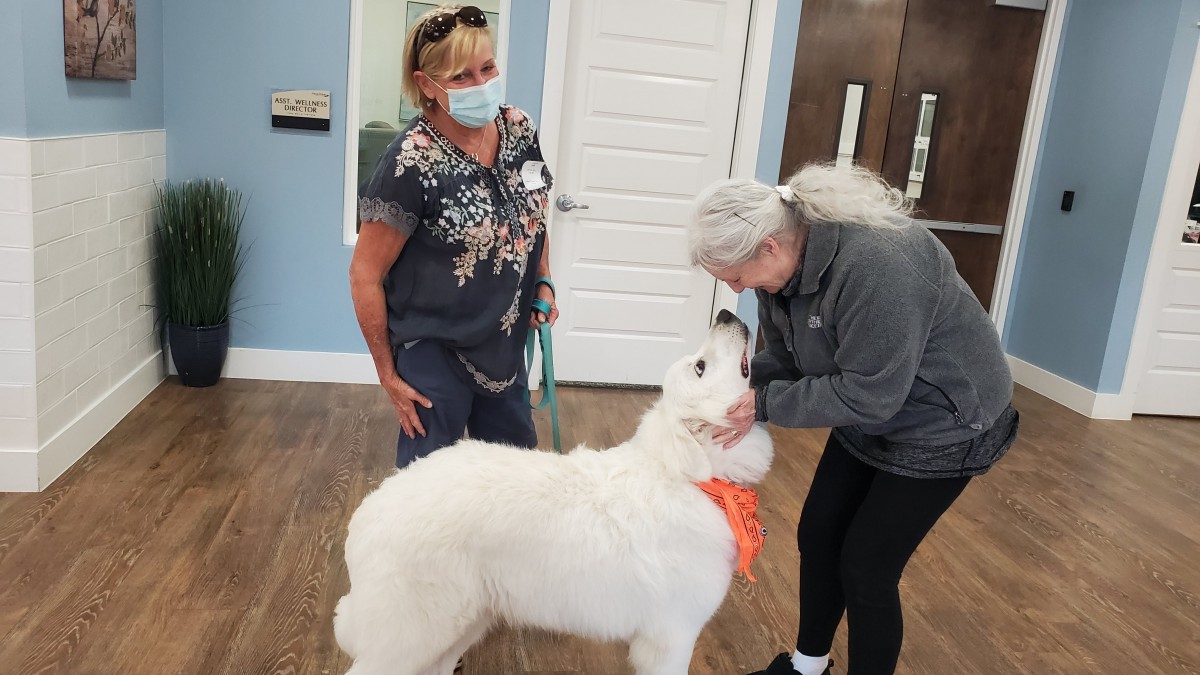 A dog being greeted by two people indoors, one wearing a mask.