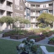 A serene apartment courtyard with raised garden beds and lush greenery.