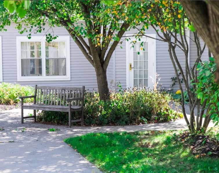 A serene garden setting with a bench under a tree near a house.