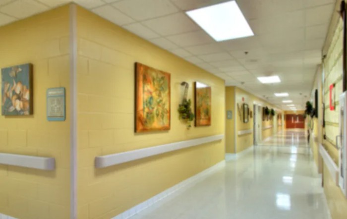 A well-lit hospital corridor featuring artwork on the walls.