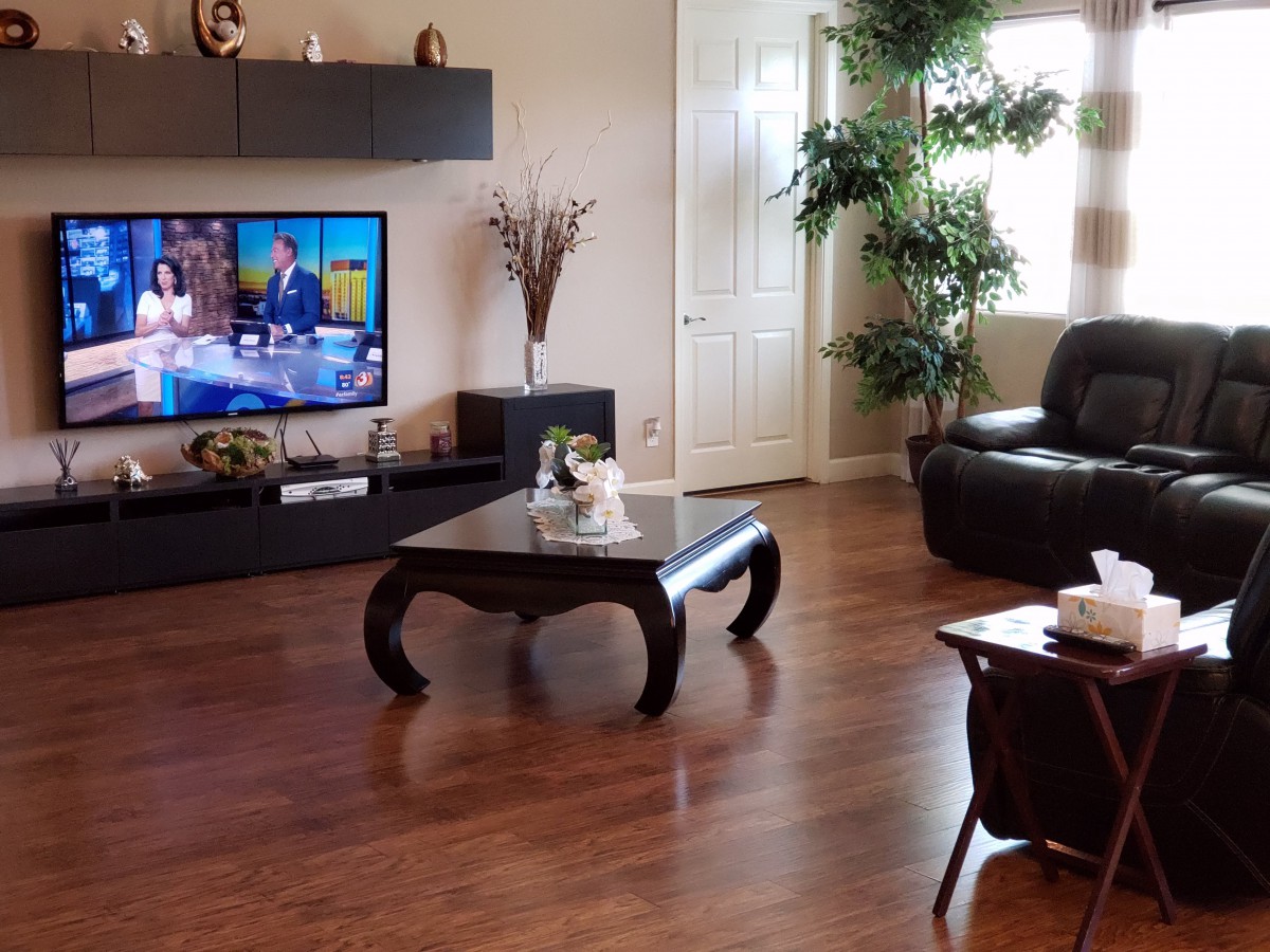 A modern living room with a television, hardwood floors, and stylish decor.