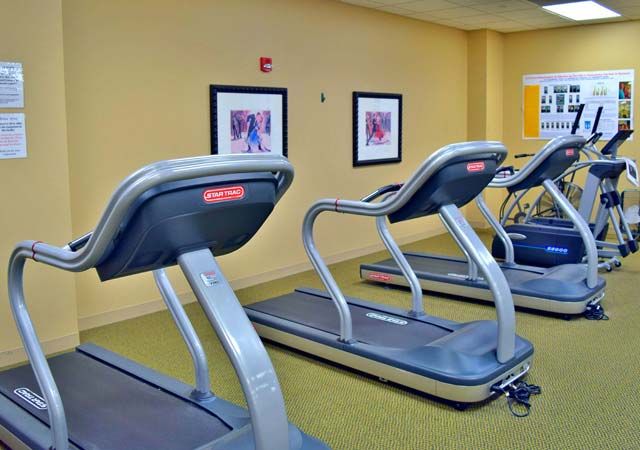 A gym with several treadmills lined up for use.