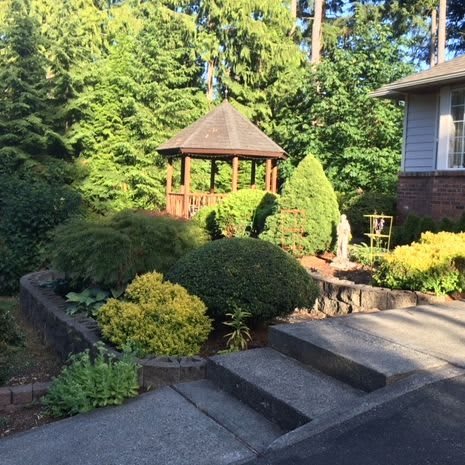 A well-maintained garden with a gazebo surrounded by trees and shrubs, adjacent to a house.