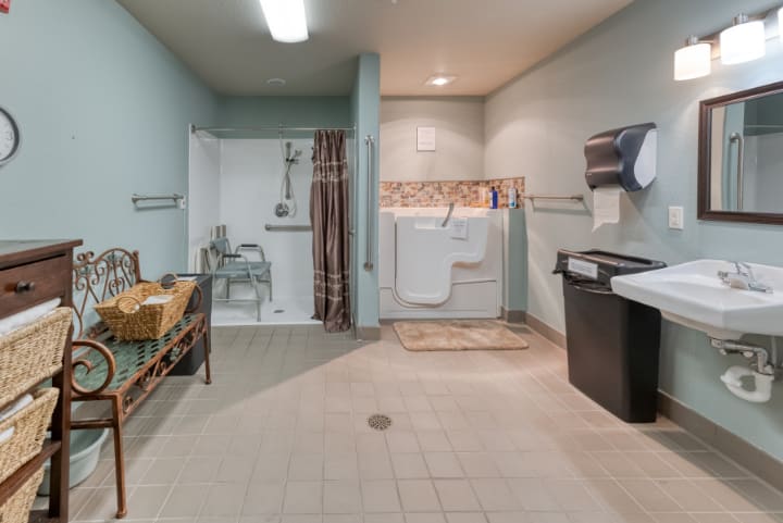An accessible bathroom with a walk-in tub and shower, featuring handrails and modern amenities.