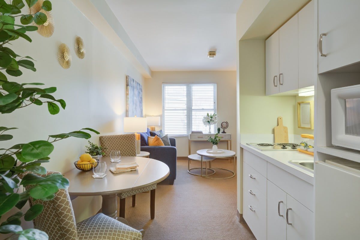 A cozy apartment interior featuring a small kitchen and living area with modern furnishings and decorative plants.