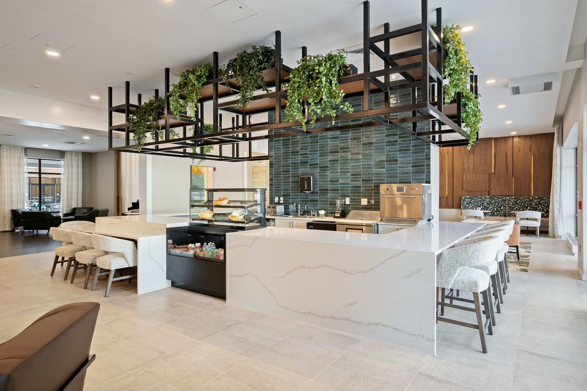A modern kitchen with a sleek design featuring greenery above the countertops and stylish seating.