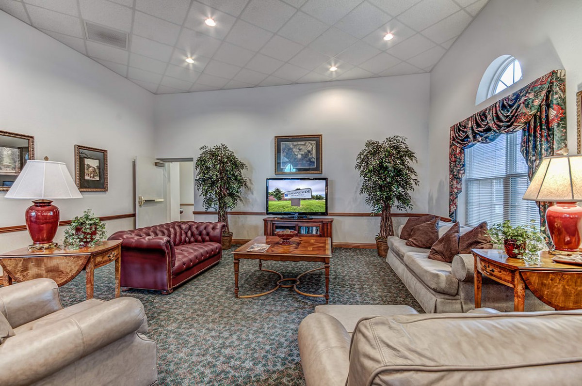 Cozy living room with sofas, a television, and decorative plants.