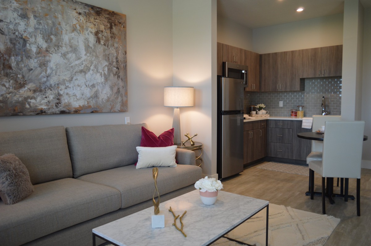 A cozy modern apartment living room with a view into the kitchen area, featuring a comfortable sofa and stylish decor.