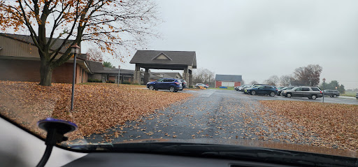 A peaceful autumn scene with fallen leaves along a road leading to a parking area.