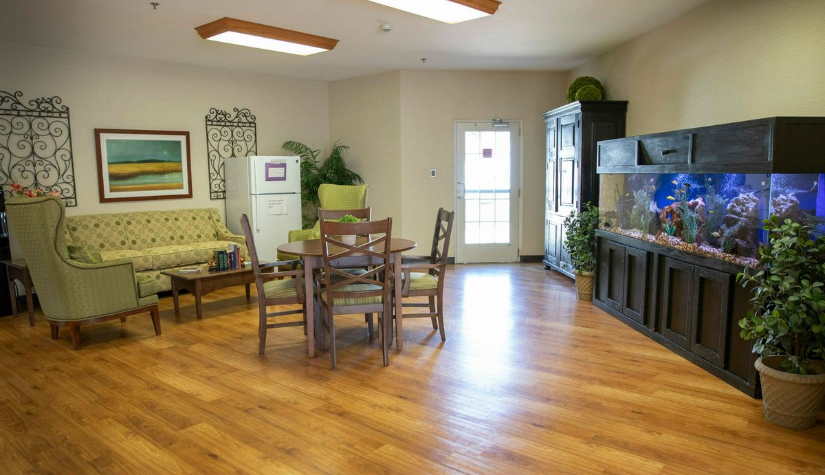 A cozy living room with hardwood flooring, featuring a dining table and chairs, indoor plants, and a television.