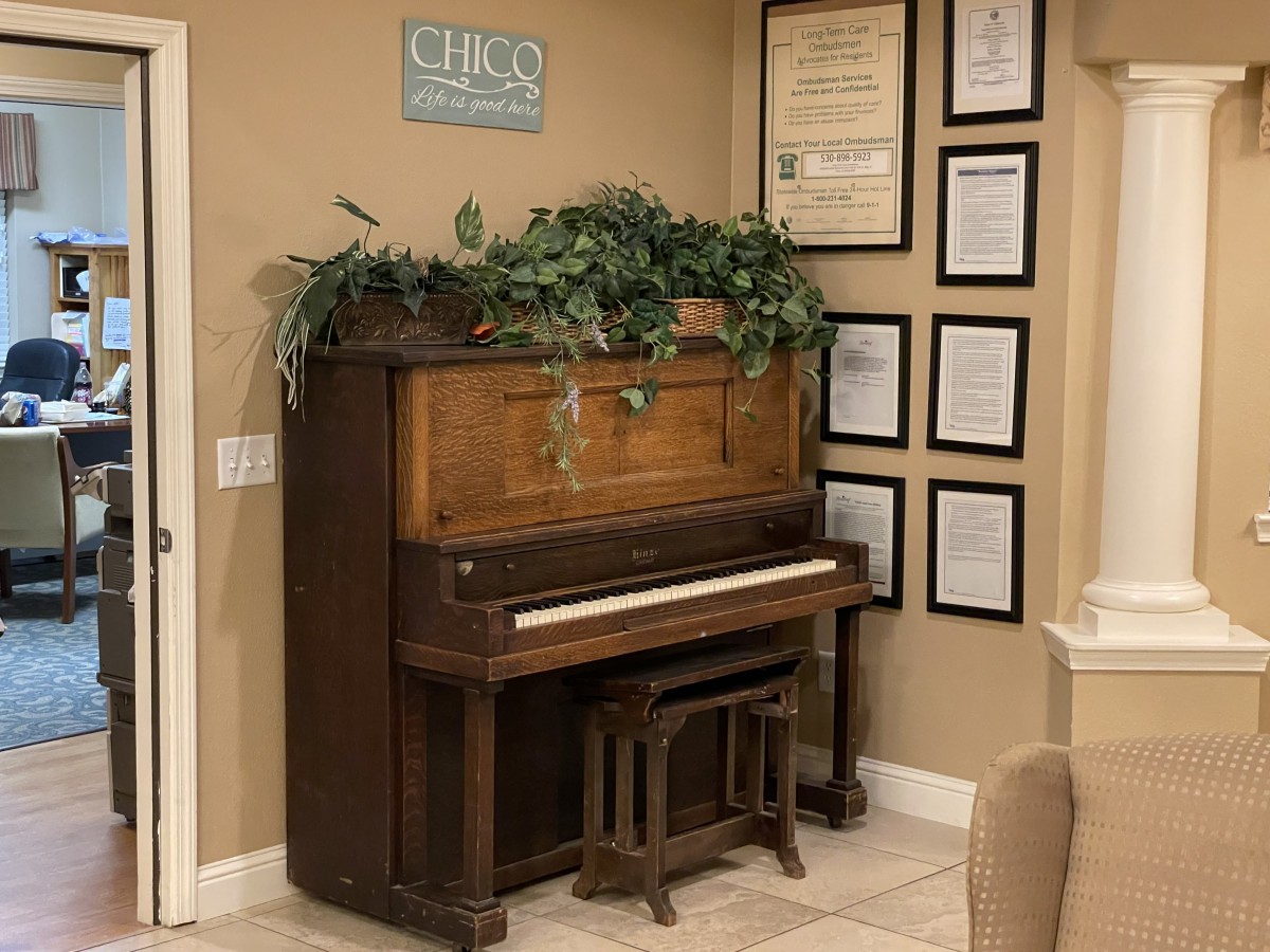An upright piano adorned with plants, surrounded by framed certificates and wall art.