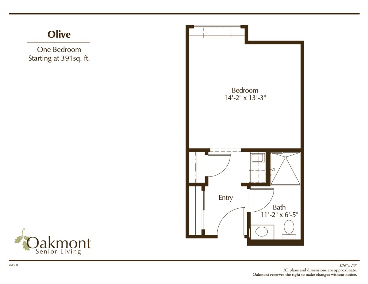 Floor plan of a one-bedroom apartment with bathroom and closet.