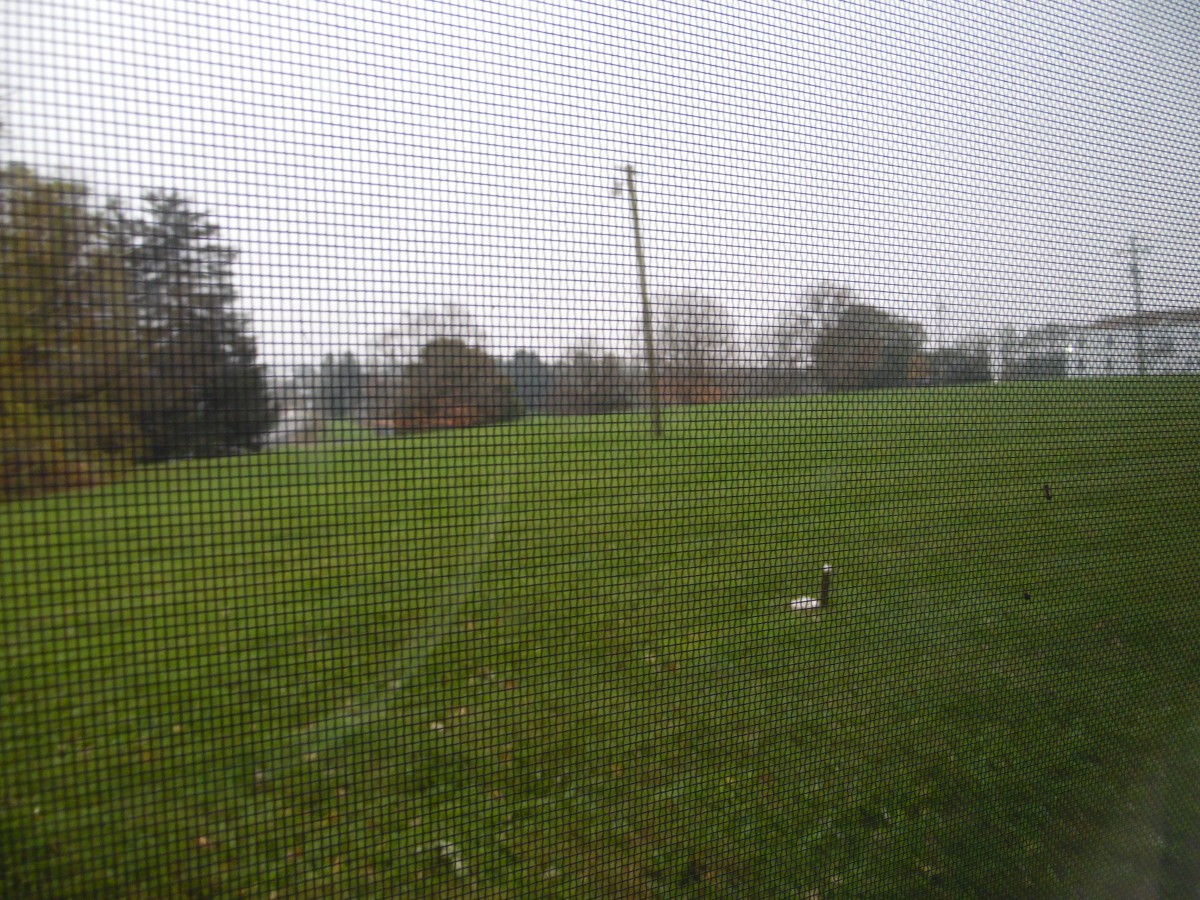 A grassy field on an overcast day, viewed through a mesh screen.