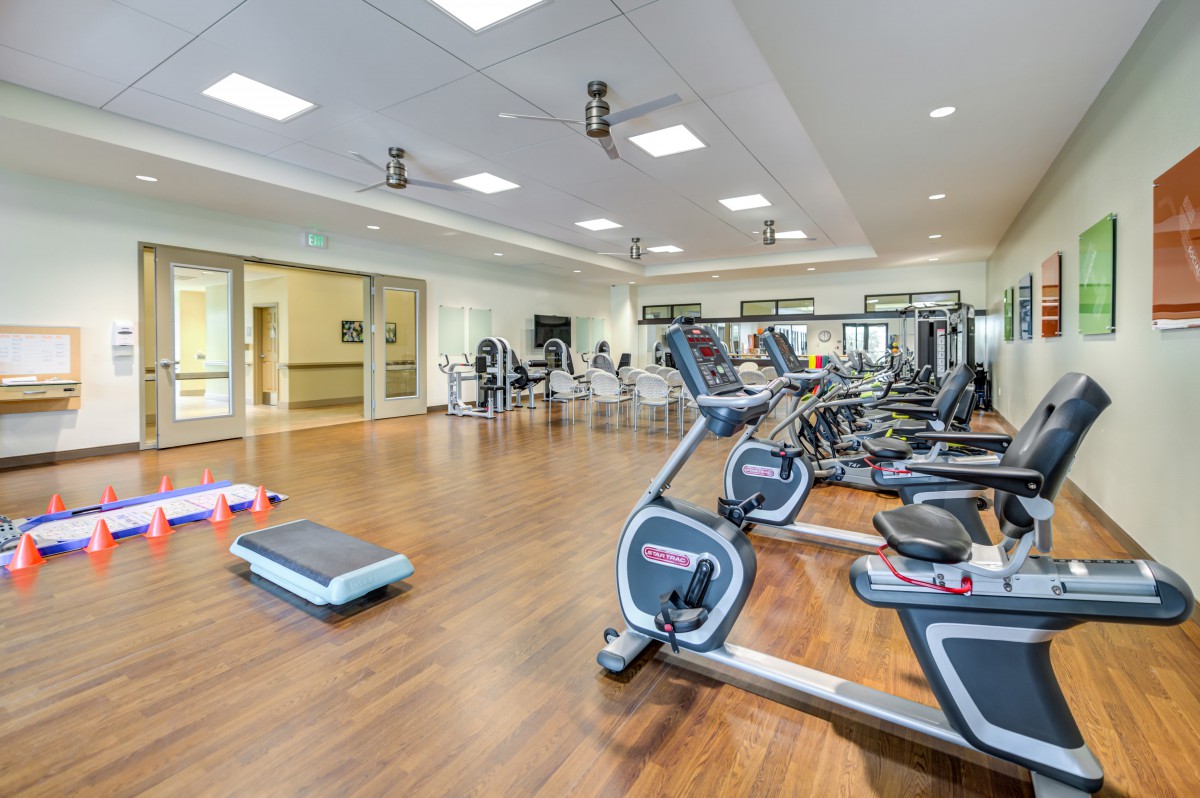 A spacious gym equipped with treadmills and exercise machines.