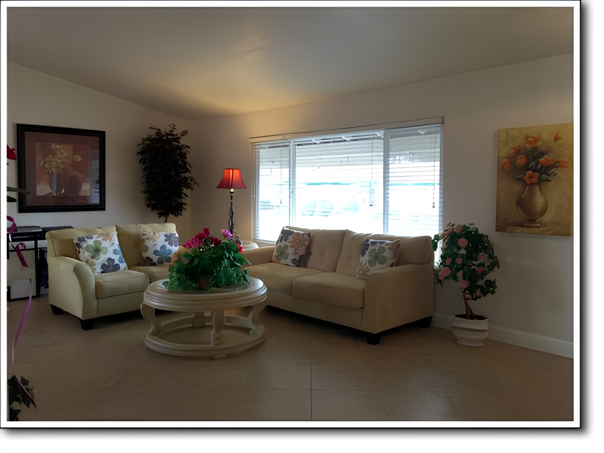 A cozy living room with comfortable seating, decorative elements, and ample natural light.