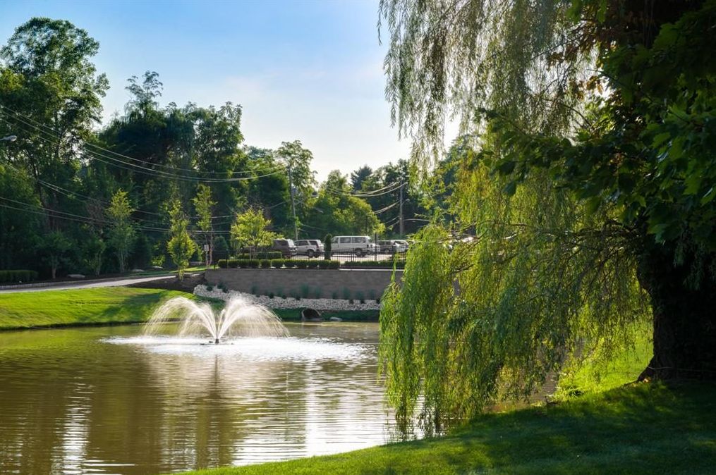 Pine Valley Center For Rehabilitation And Nursing