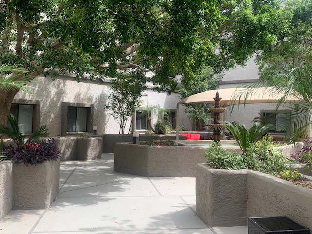 Plaza Healthcare