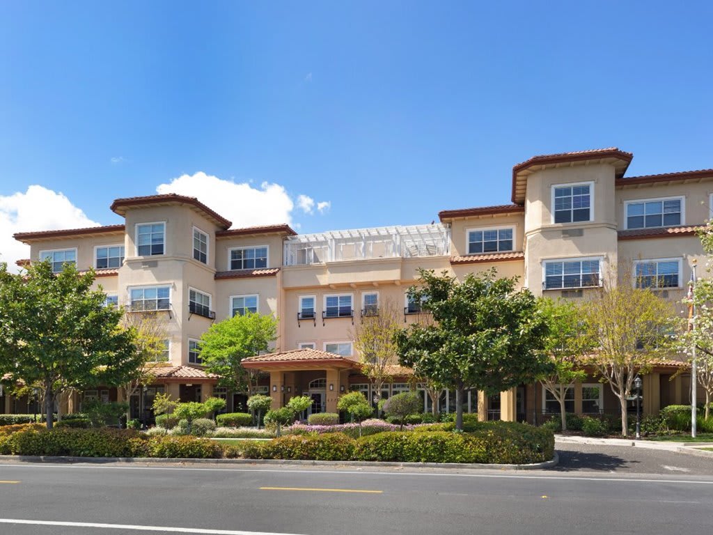 Sunrise Of Sunnyvale