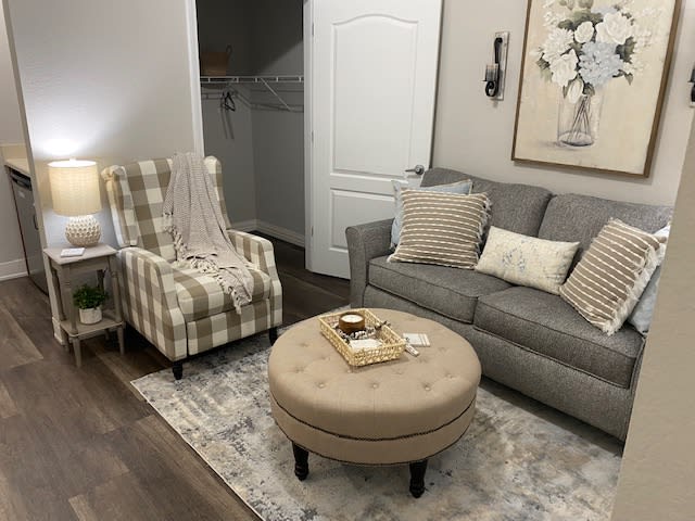 A cozy living room with a gray sofa, checkered armchair, and a beige ottoman atop a decorative rug.