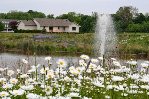 A serene landscape featuring a blooming patch of daisies in the foreground, a tranquil pond with a fountain, and a cozy house nestled in the greenery.