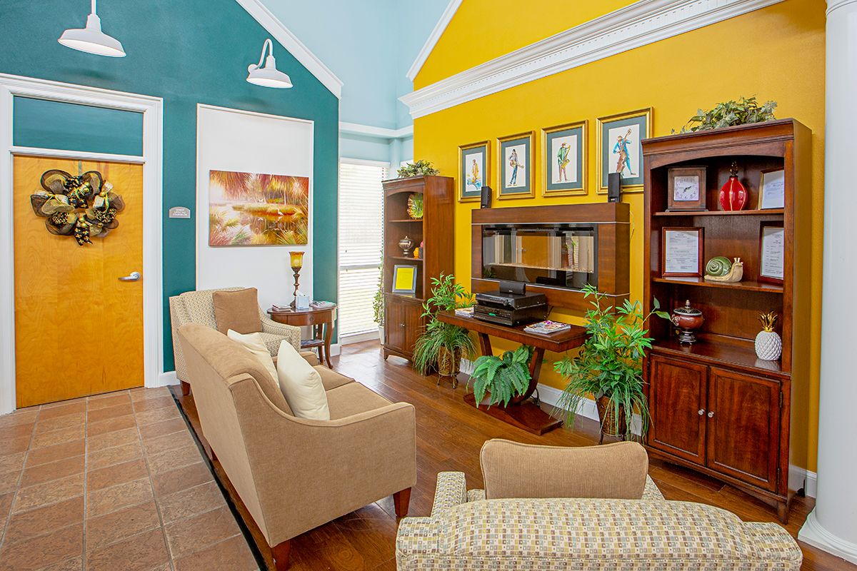A vibrant living room featuring colorful walls, cozy sofas, and lush house plants.